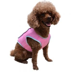 Dog Cooling Vest by EXPAWLORER