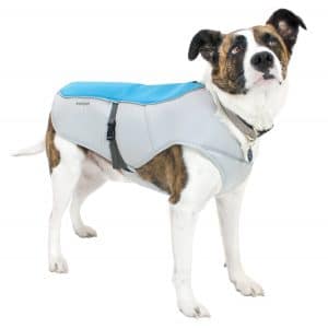 Frontpet Cooling Dog Vest