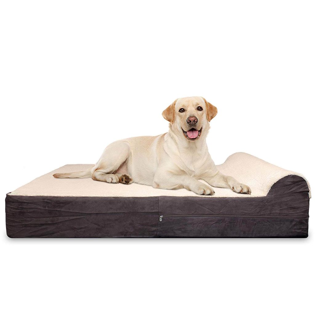 Best Orthopedic Dog Beds in 2019 | VetsRecommend